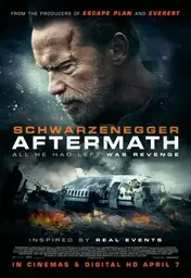 Affiche de Aftermath