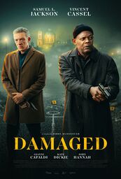 Affiche de Damaged