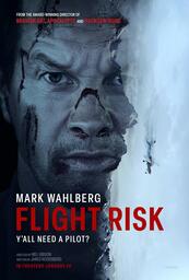 Affiche de Flight Risk