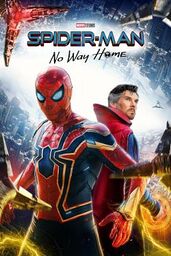 Affiche de Spider Man No Way Home