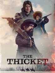 Affiche de The Thicket