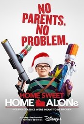 Affiche de Home Sweet Home Alone