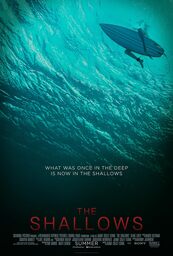Affiche de The Shallows